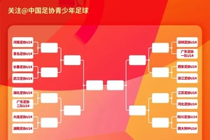  杯赛对年轻球员成长的重要性及最佳培养策略